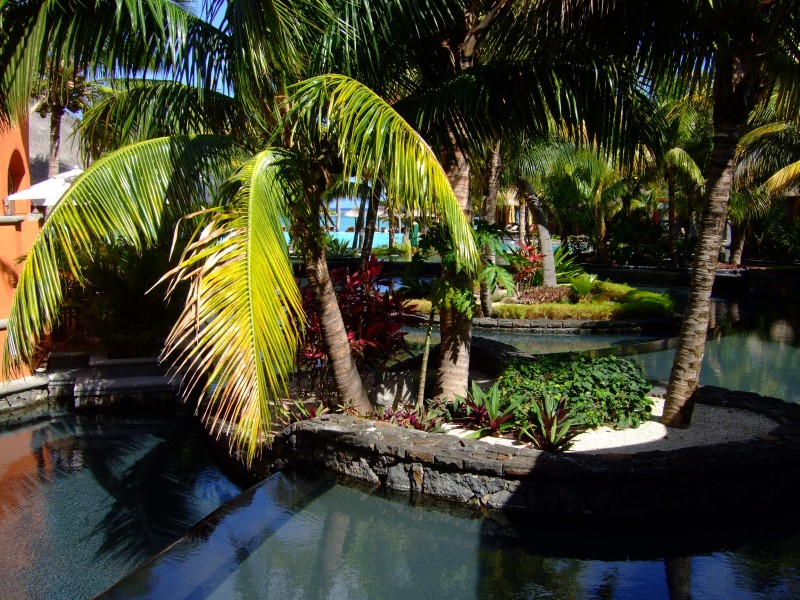 Mauritius 2010 - 0242 